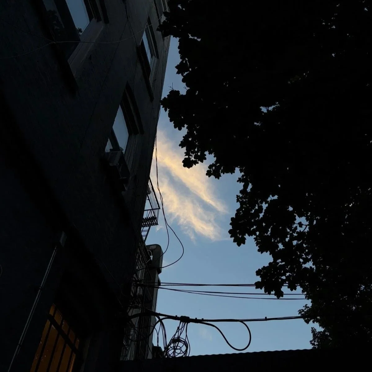 Audioflux Circuit 8: An Encounter in Fort Greene Park
