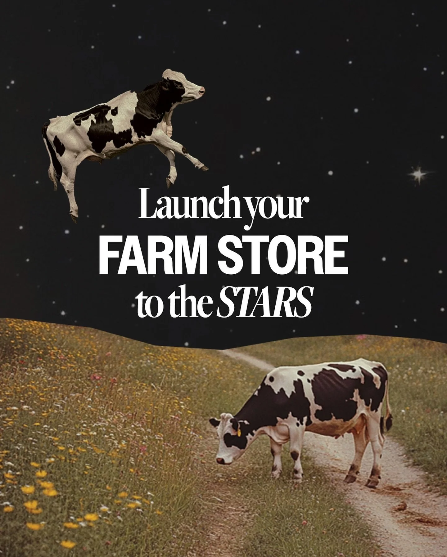 We believe every business can benefit from a great brand experience, but there are certain industries where a thoughtful, professional experience would REALLY create something stand-out &amp; special. The farm industry is one of those.

This post mig
