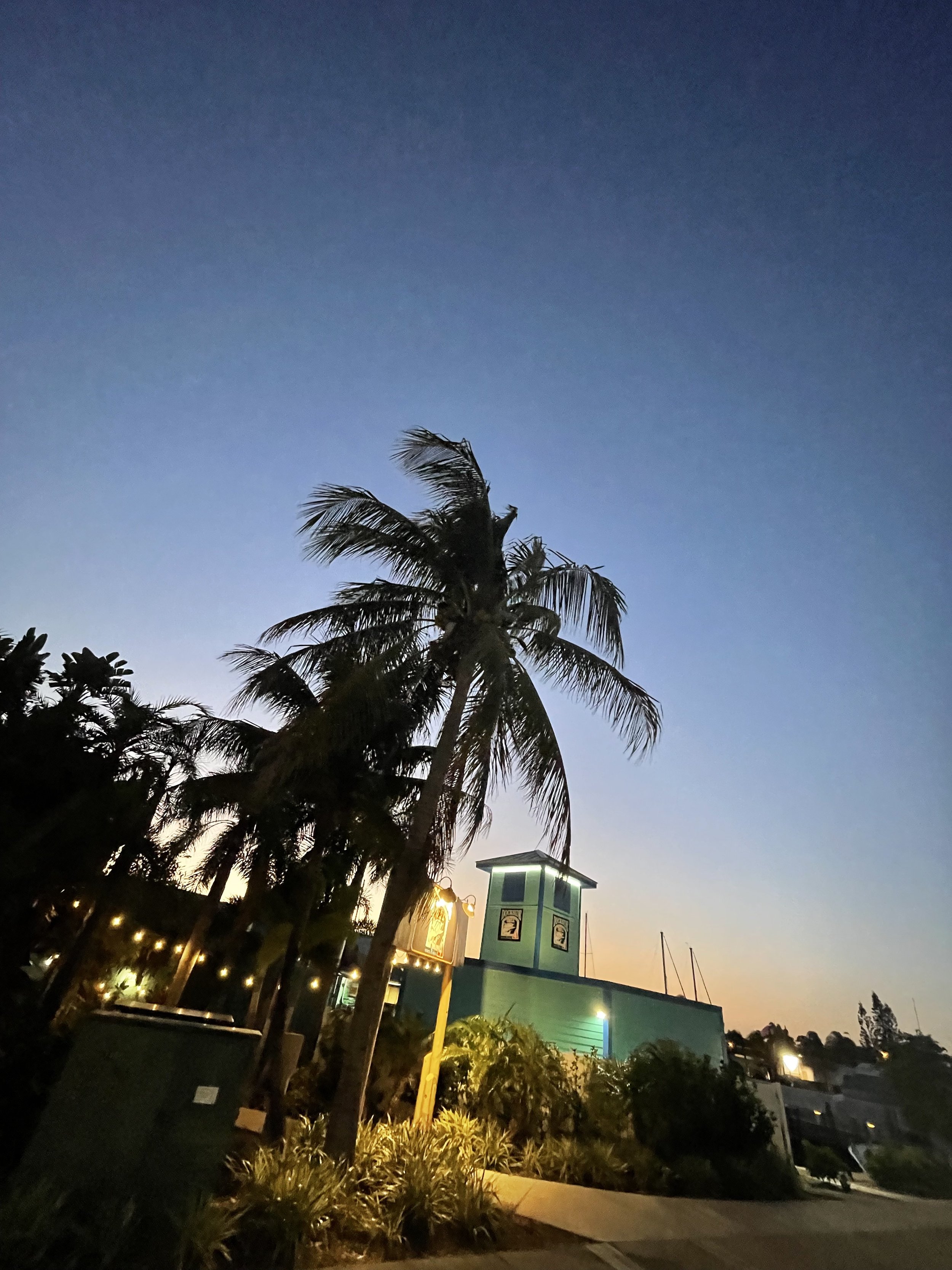 IMG_7980.jpeg