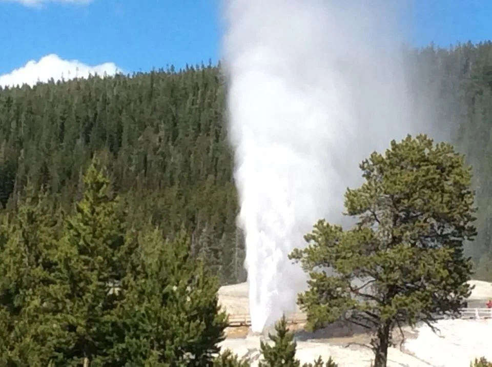Geyser at Yellowstone