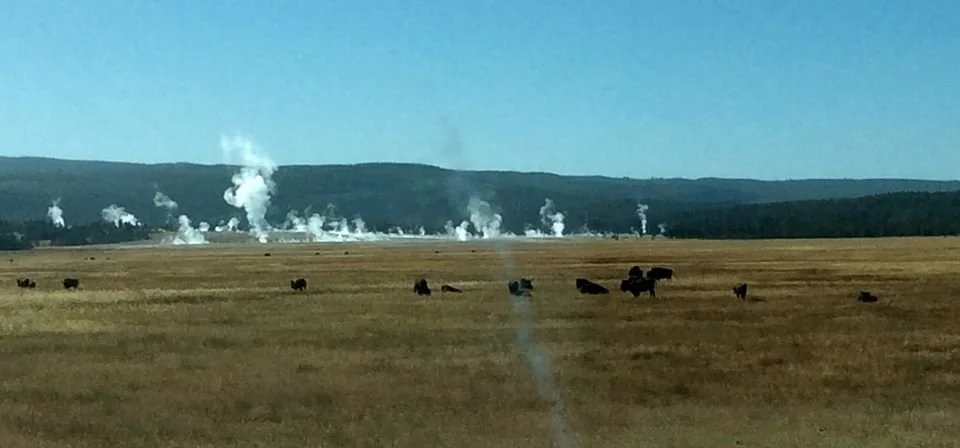 Geysers in Yellowstone