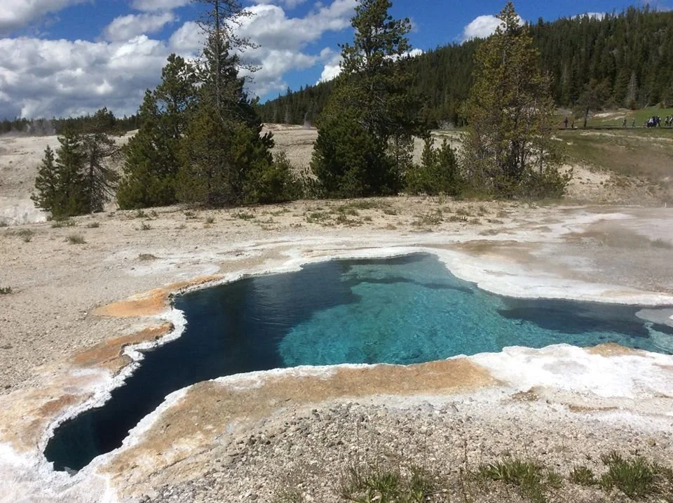 Thermal hot spring at Yellowstone
