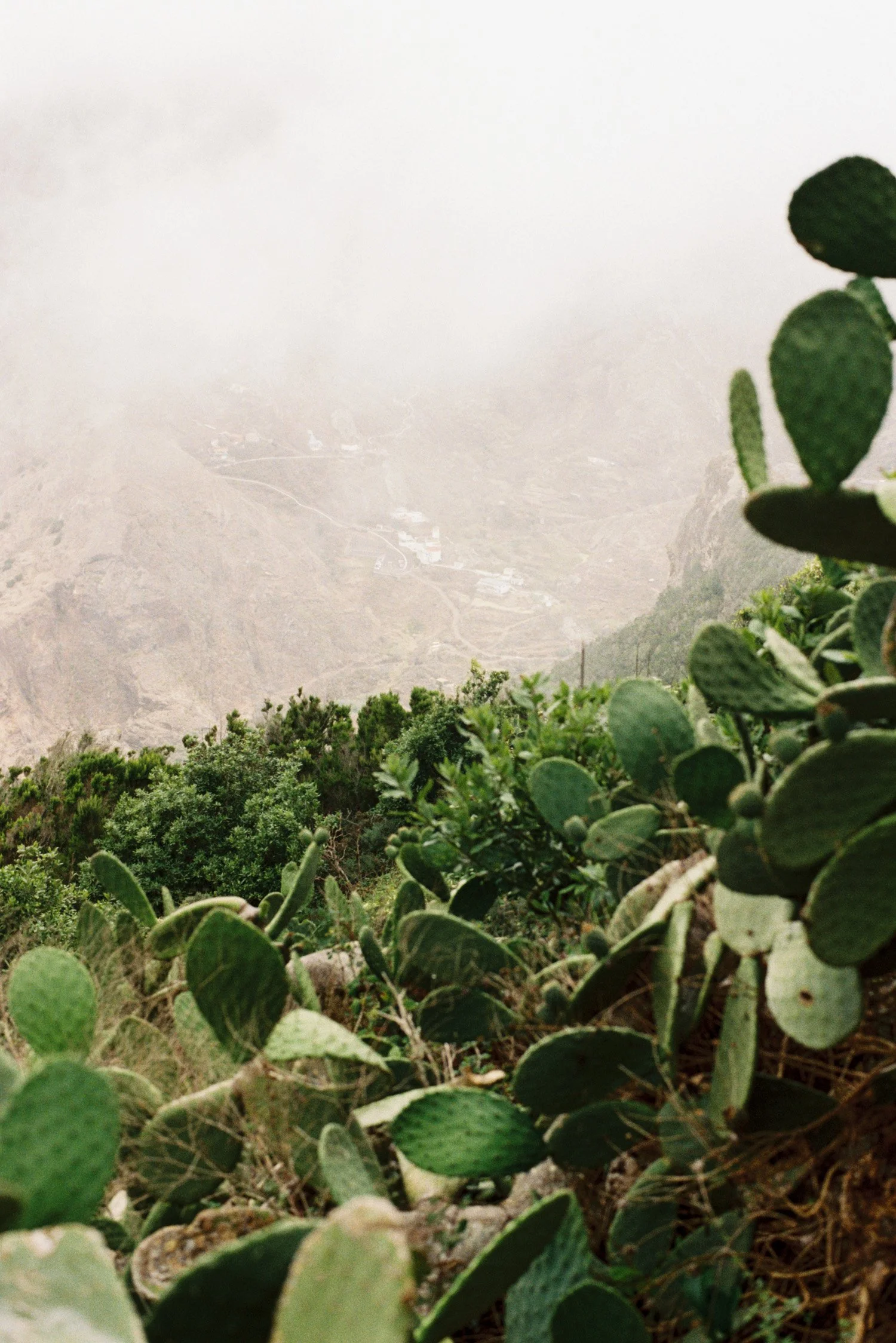 Domen_Nan_Tenerife-10.jpg