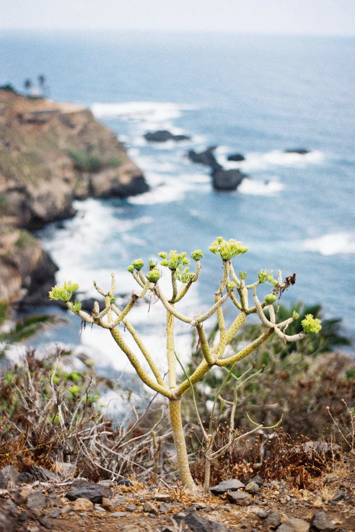 Domen_Nan_Tenerife-21.jpg
