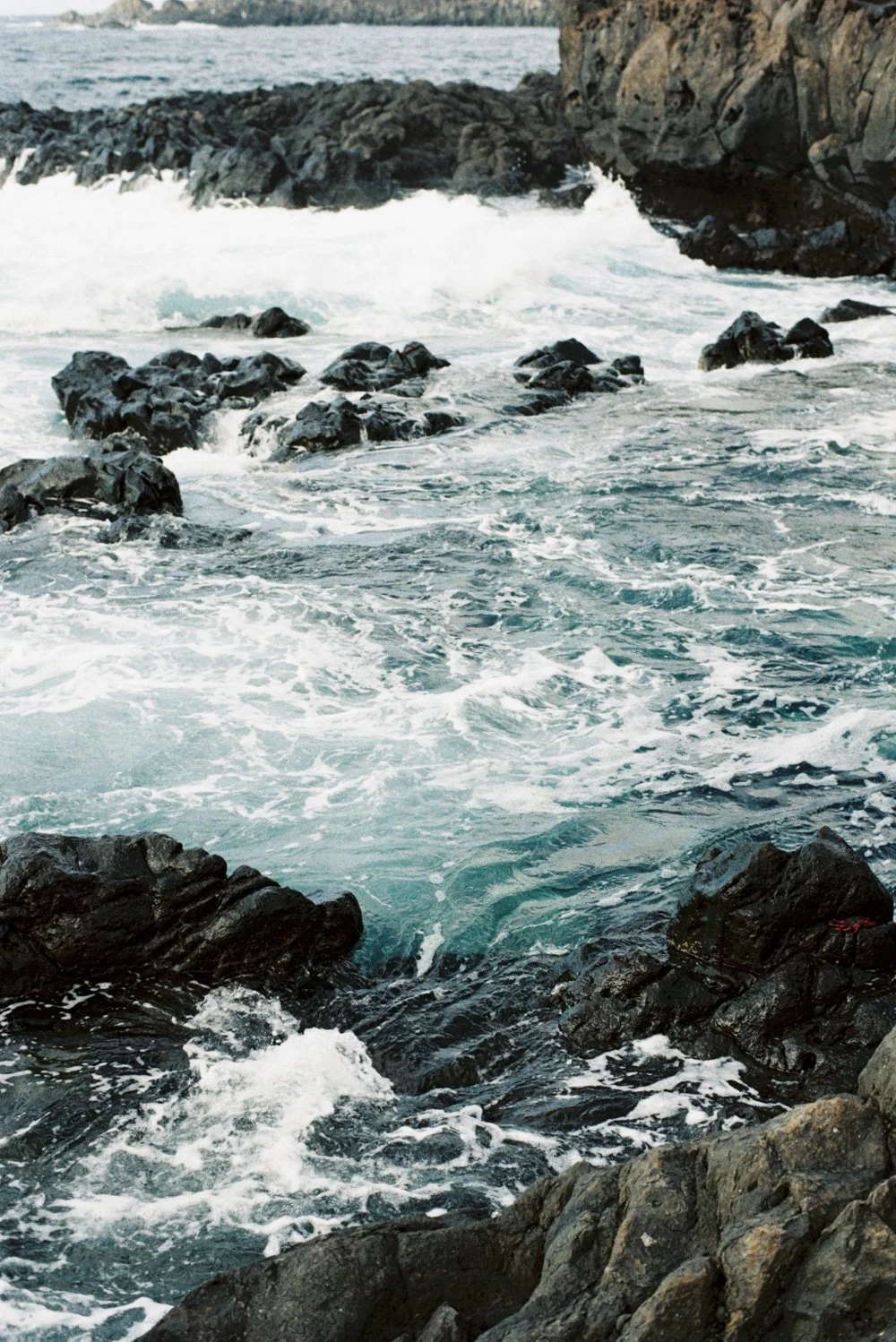 Domen_Nan_Tenerife-50.jpg