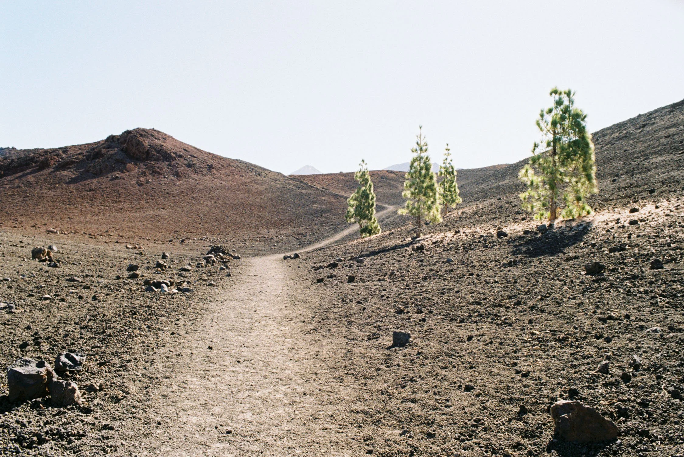 Domen_Nan_Tenerife-59.jpg