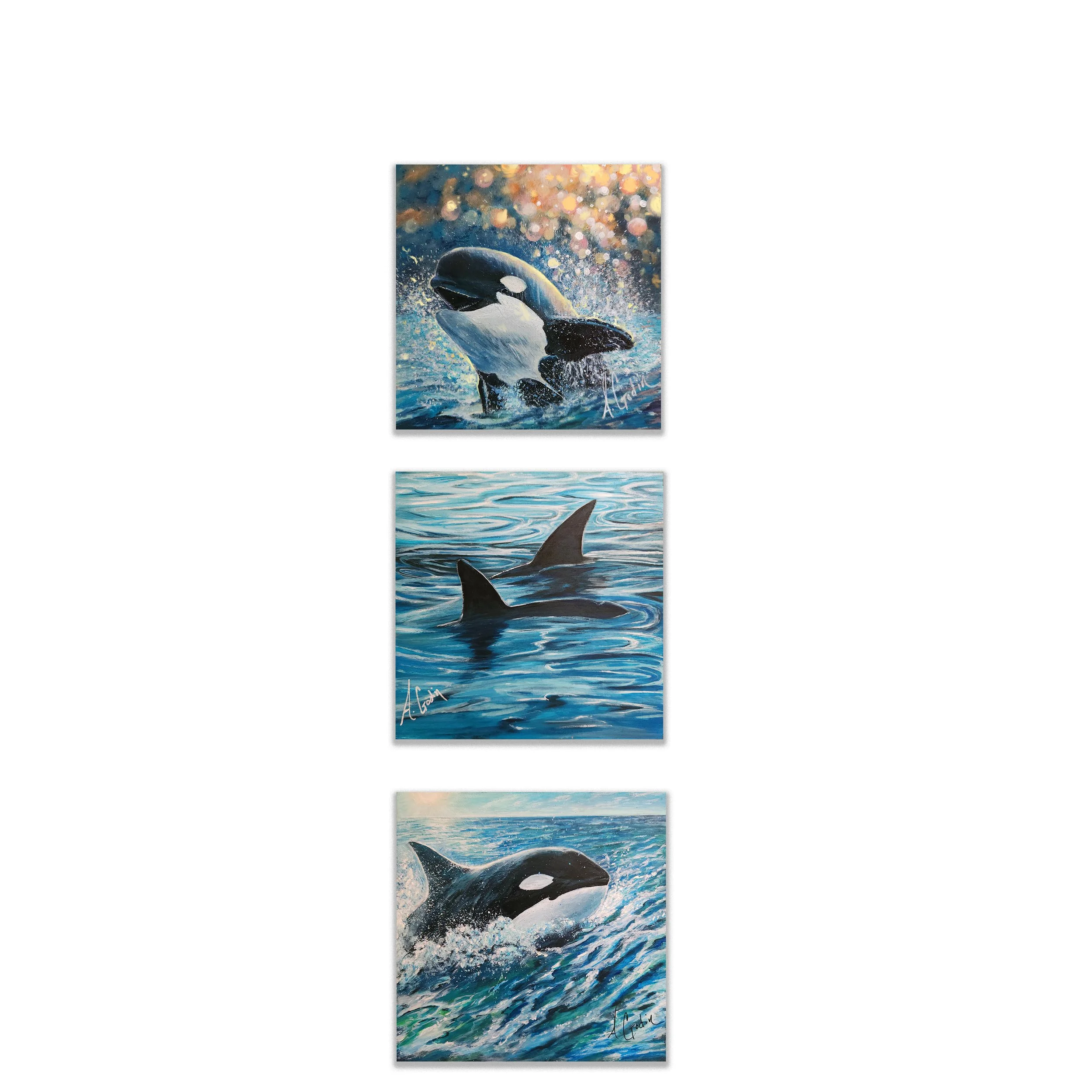 ORCA TRIO 2.jpg