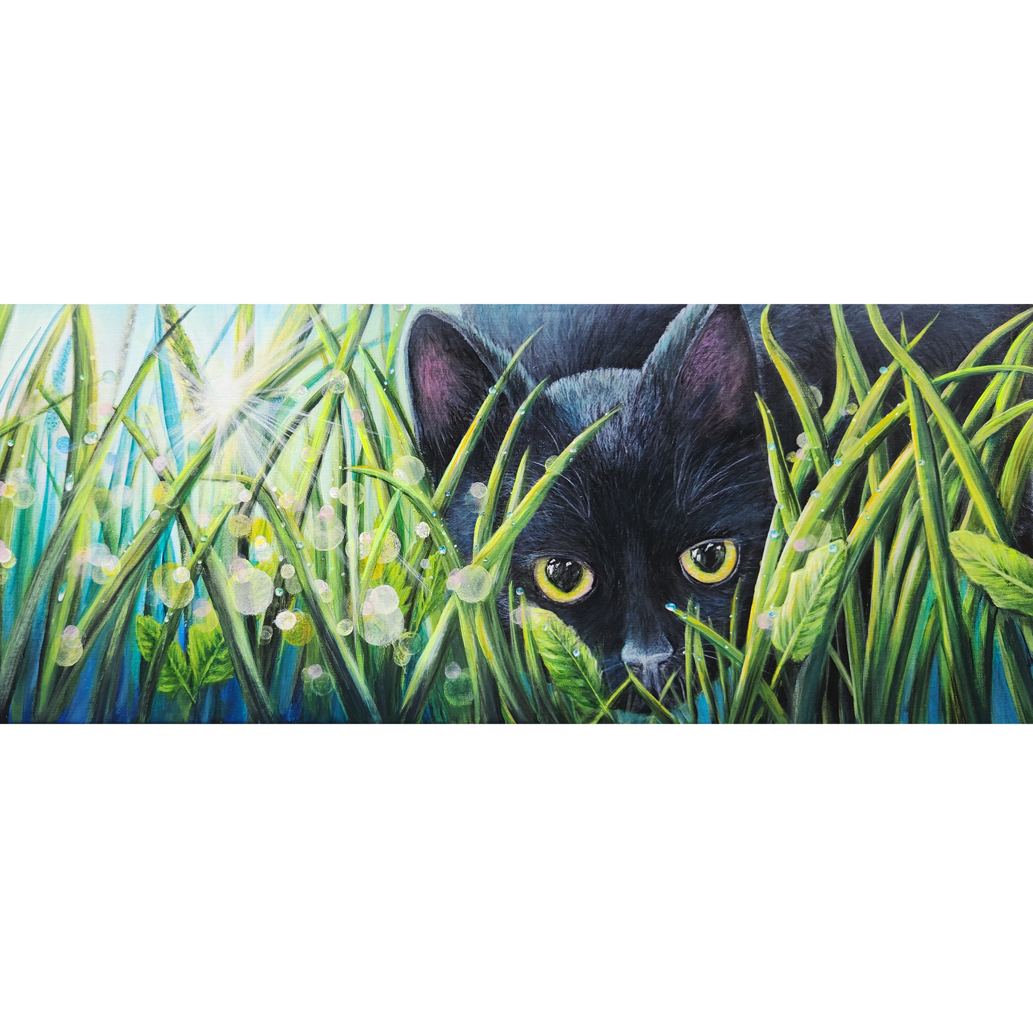 curious morning thumbnail.png