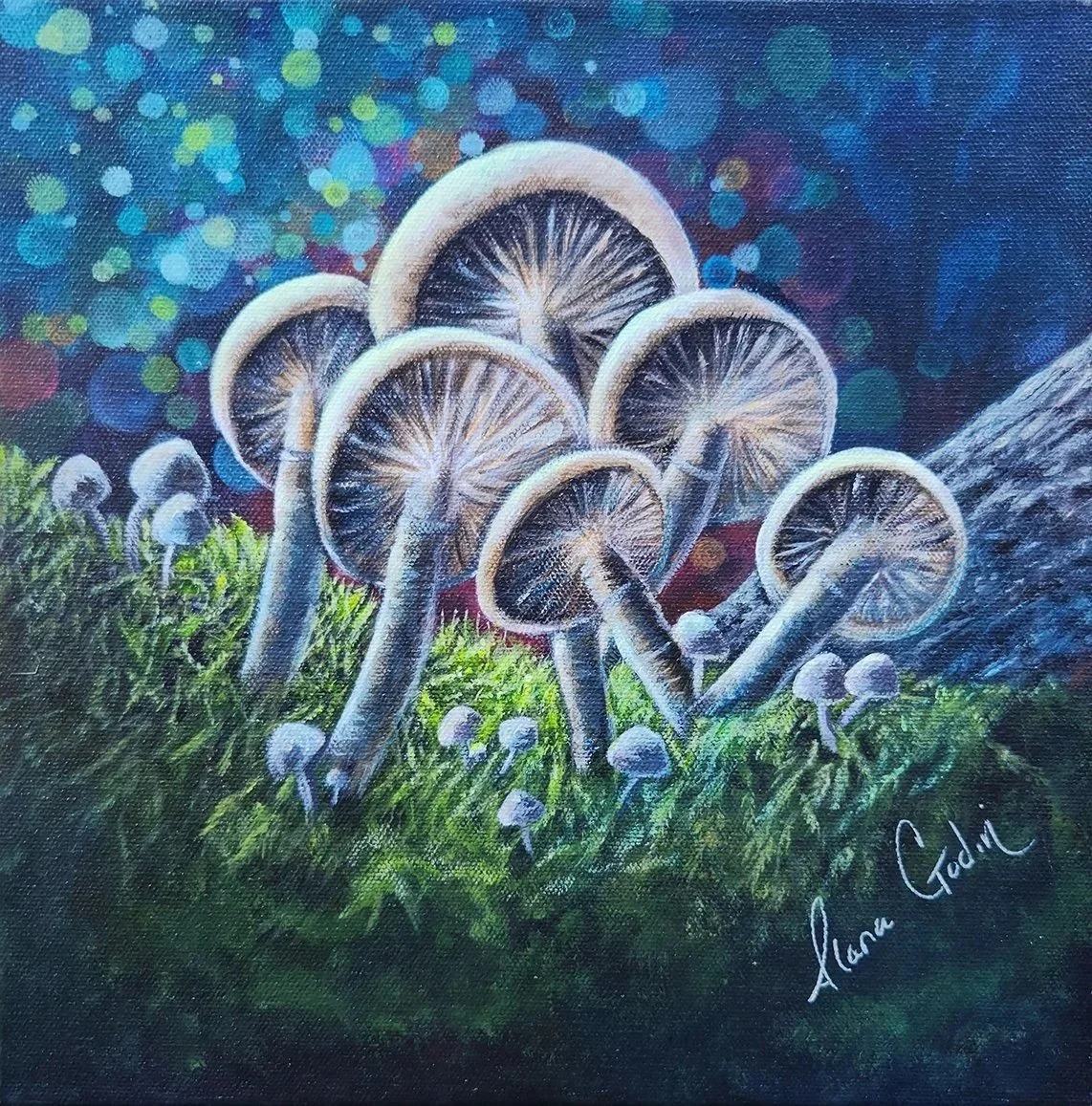 FUNKY FUNGI- LIMITED EDITION PRINTS (Copy)