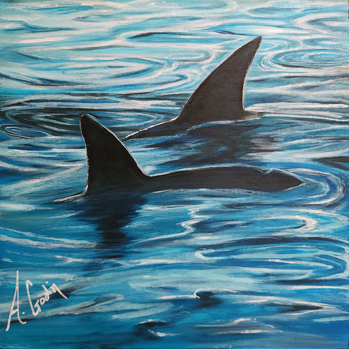 Orca Series- 1- Limited Edition Prints (Copy)