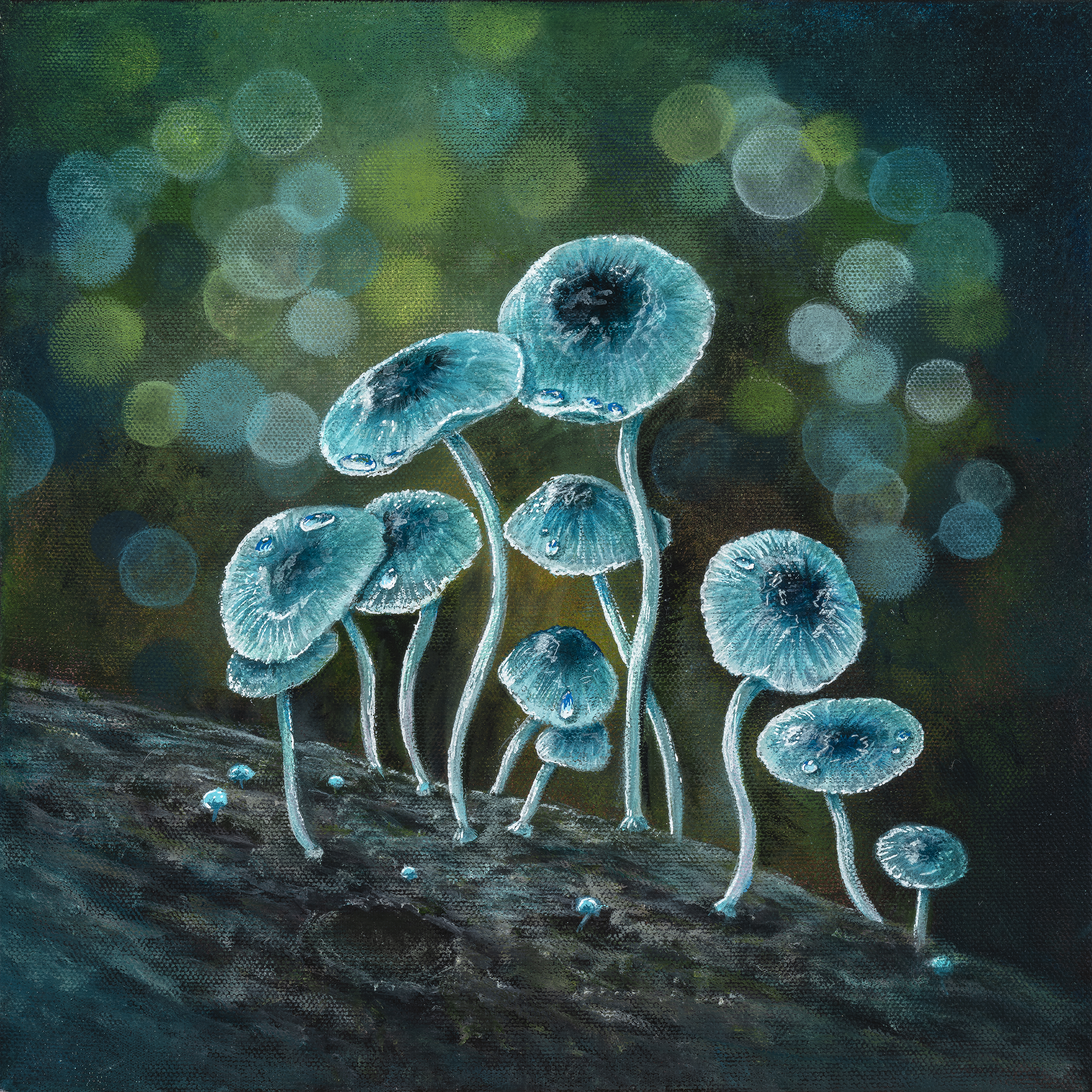 Hidden_Gems_12x12 copy1.png