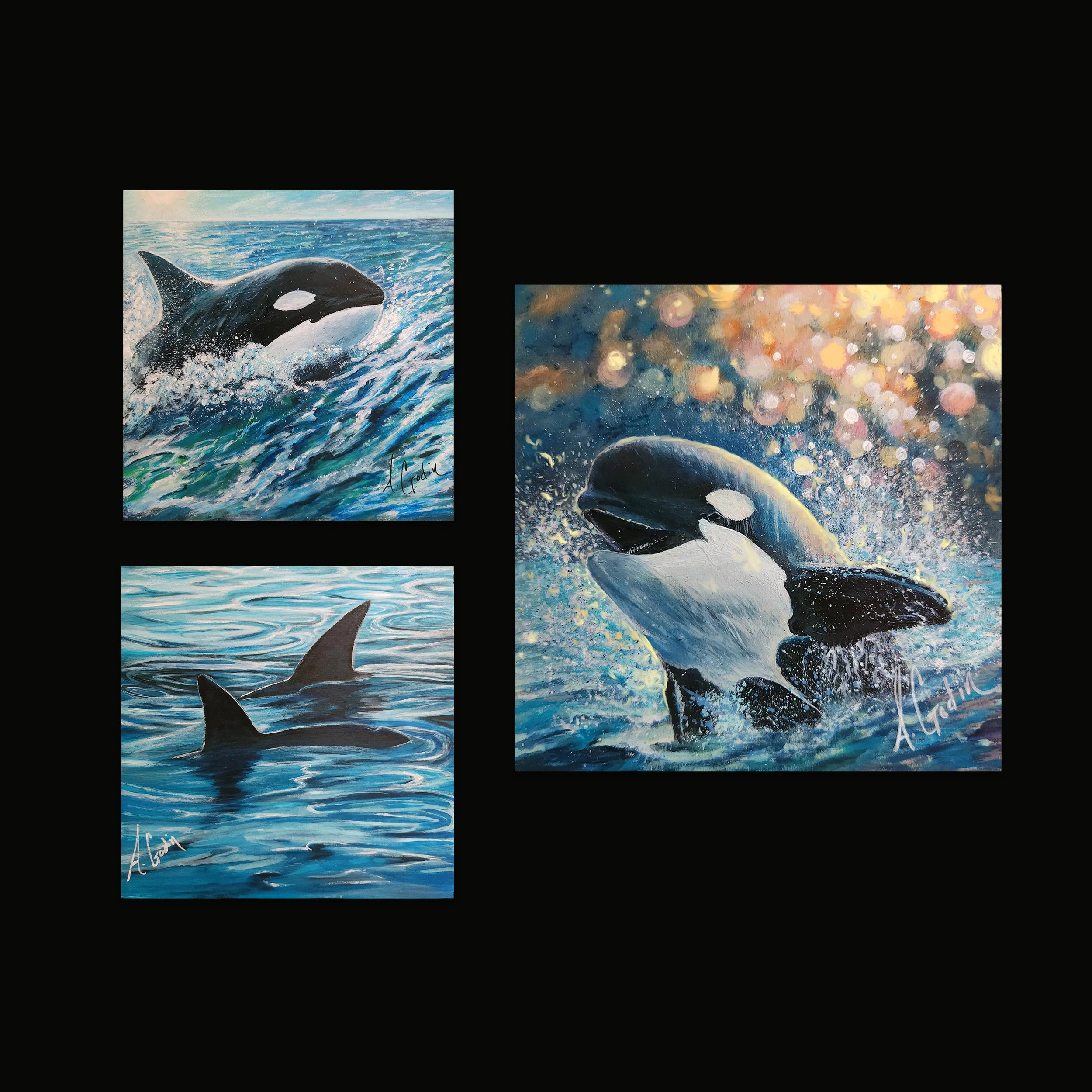ORCA TRIO.jpg (Copy)