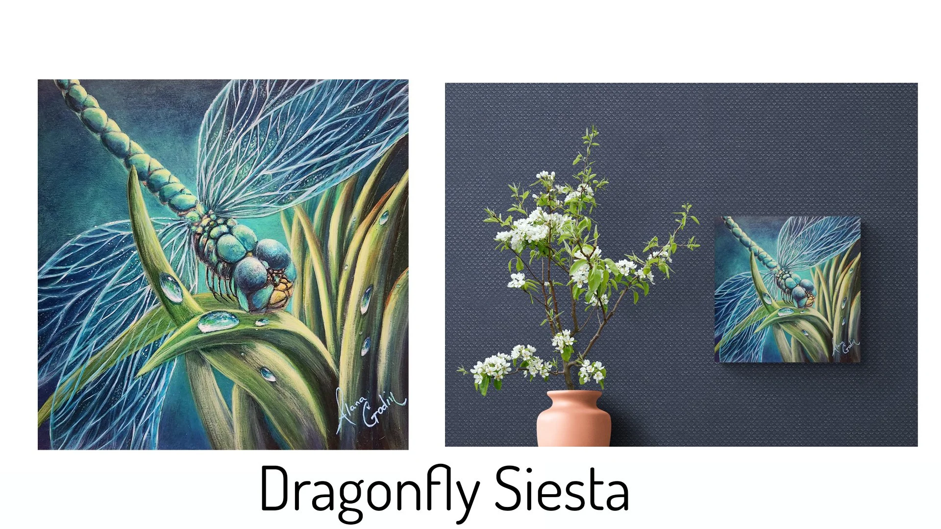 dragonfly siesta.jpg
