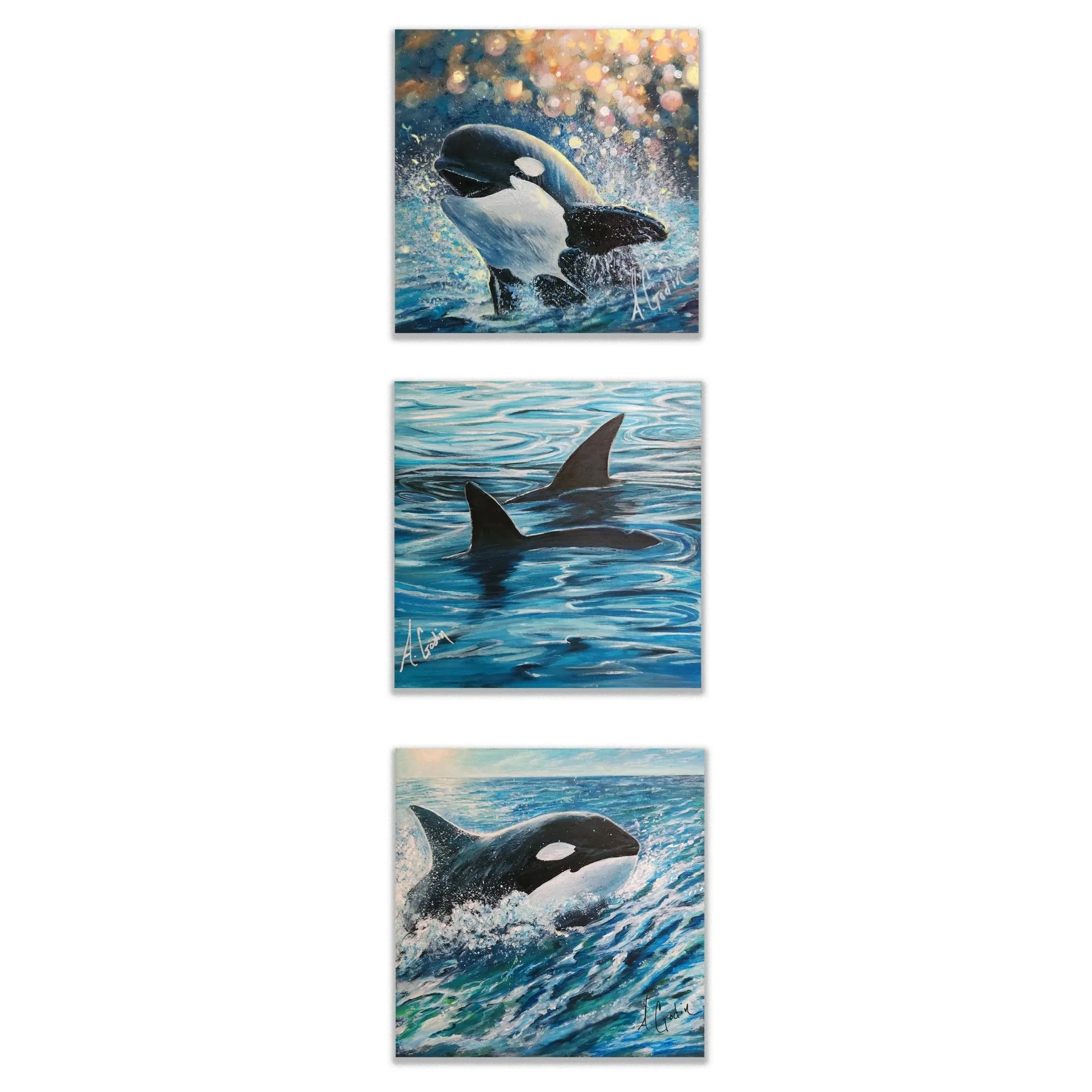 ORCA+TRIO+2.jpg (Copy)