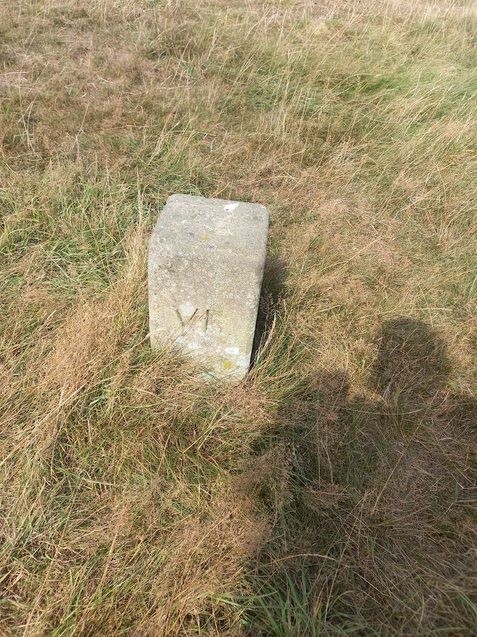 image-2.png