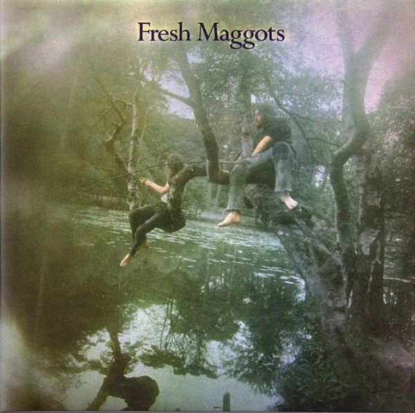 Fresh Maggots