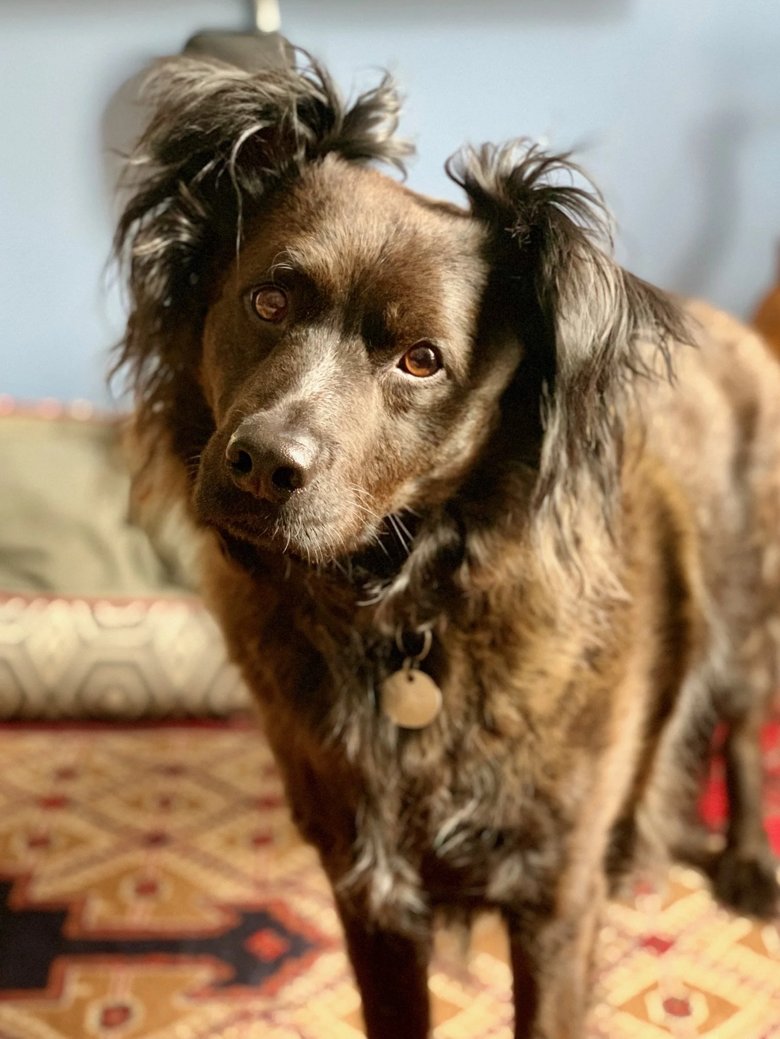 Weekly Schedule 7/25/2022 — Schedule and Tidbits