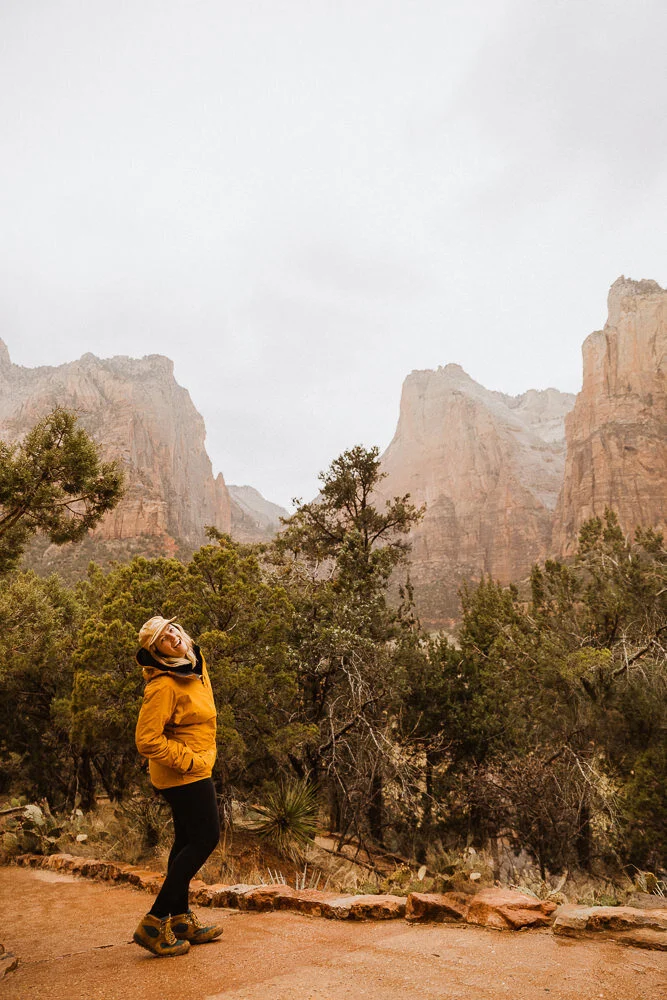 Zion National Park in the winter   Day 2