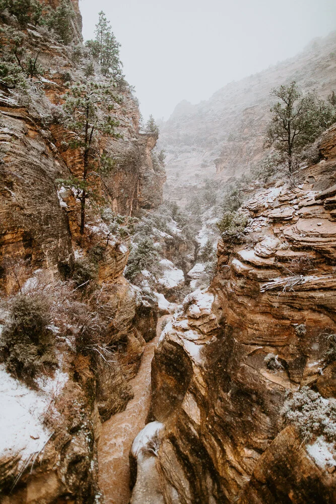 Tall sandstone cliffs