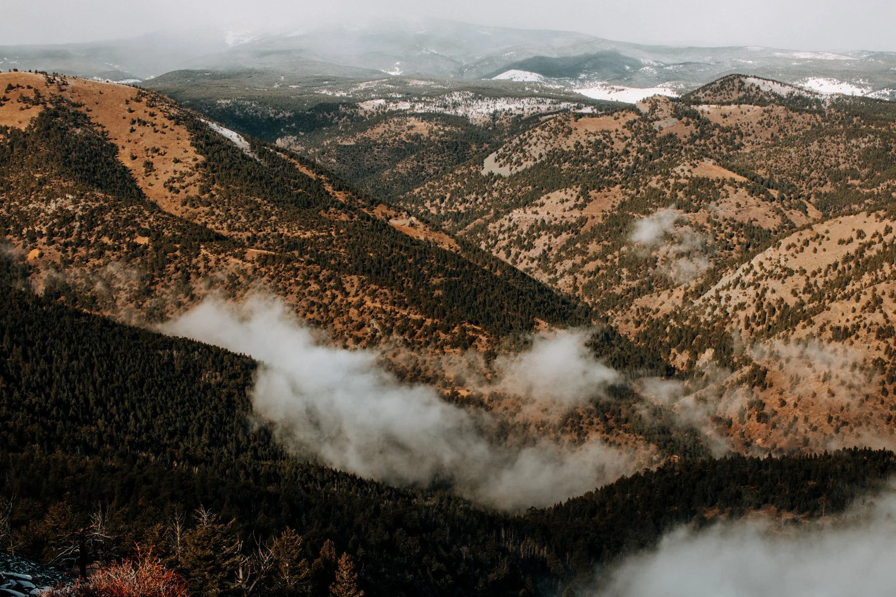 View from the top of Sugarloaf Mountain near Boulder, Colorado