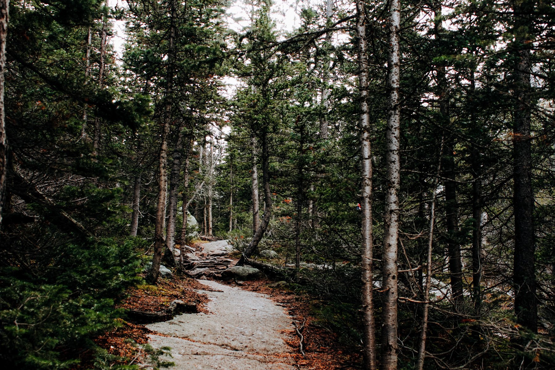 outdoor-adventures-top-10-hikes-near-denver-rmnp-mills-lake-2520.jpg