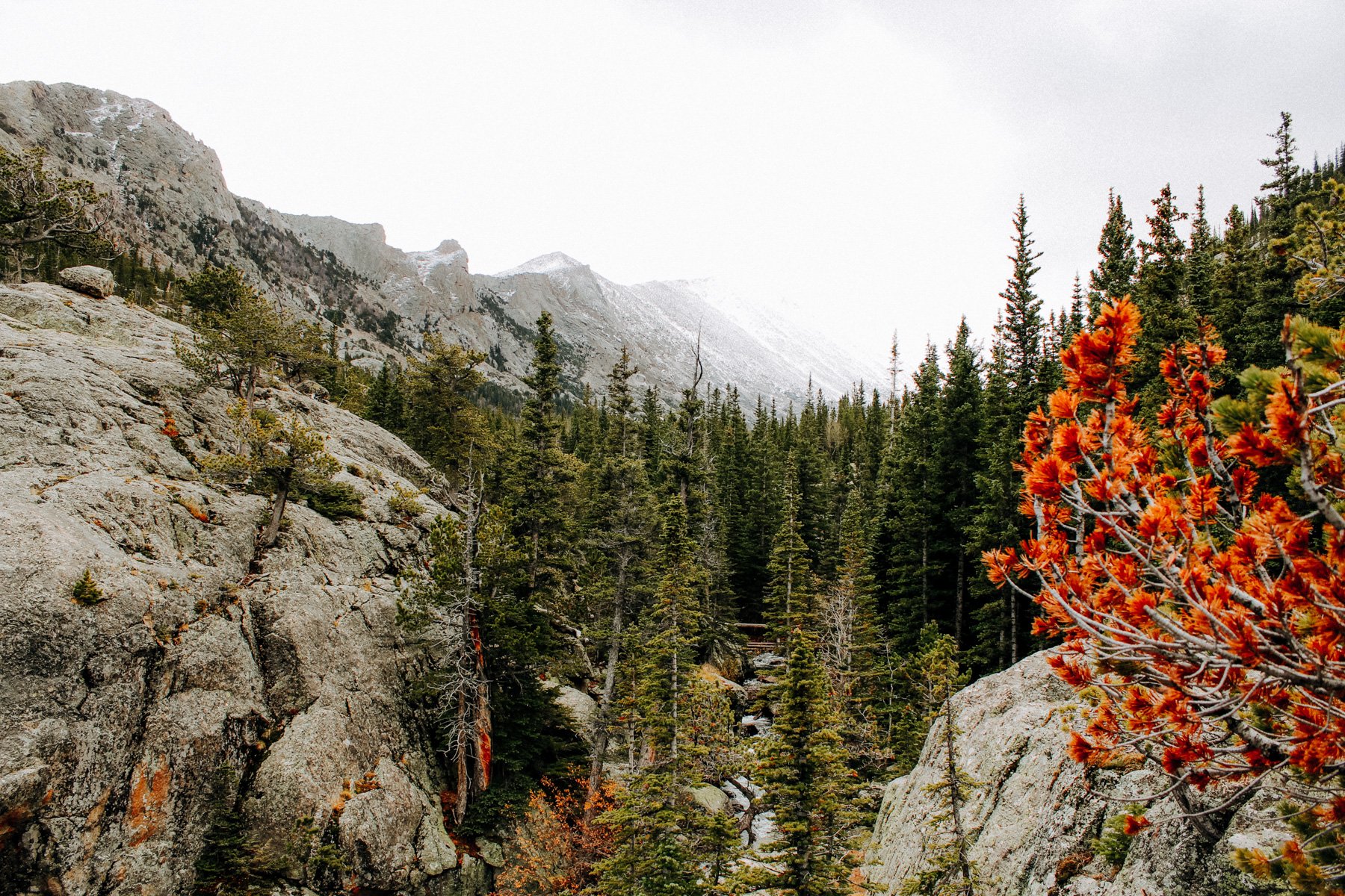 outdoor-adventures-top-10-hikes-near-denver-rmnp-mills-lake-2430.jpg