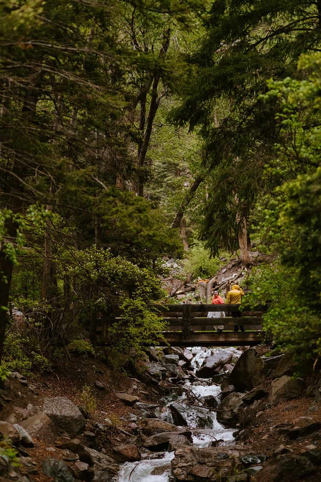 A couple in rain jackets stand on a bridge in the rain over a cascading creek