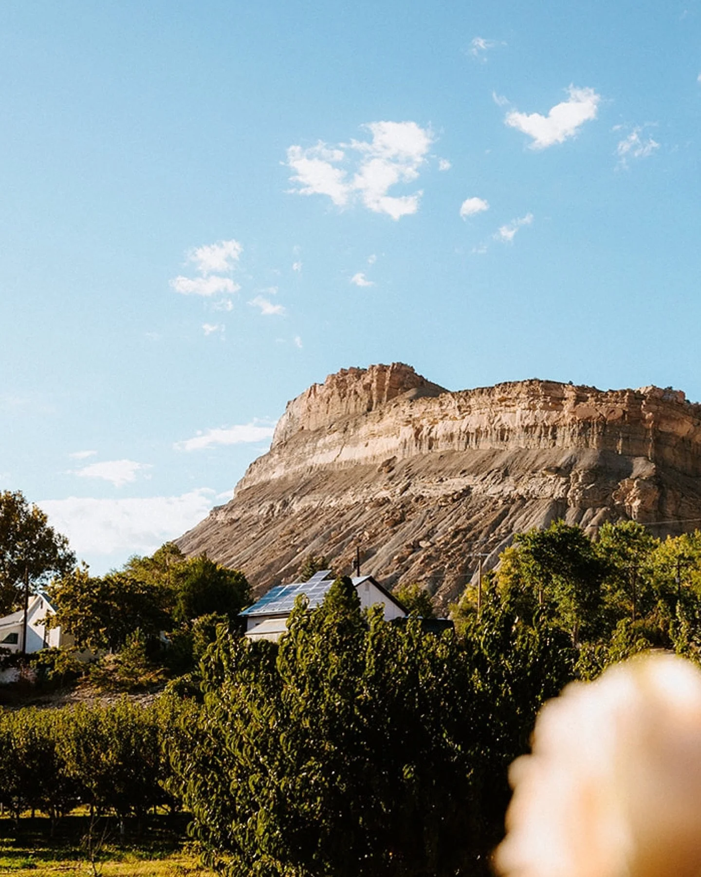 It&rsquo;s almost large wedding season for me so here&rsquo;s a reminder that yes I do photograph larger weddings if you have a planner and/or day of coordinator! I literally love them but I never share photos of them because I can never remember all