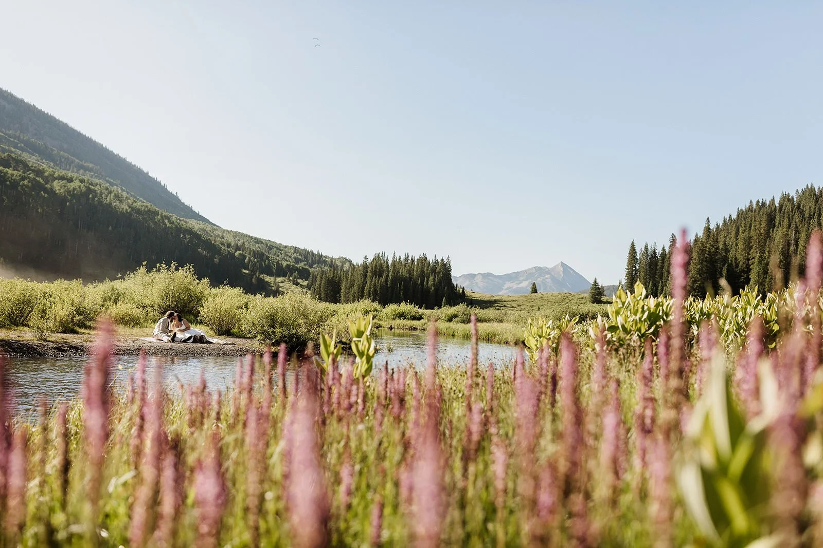 Crested Butte Elopement in a field of wildflowers