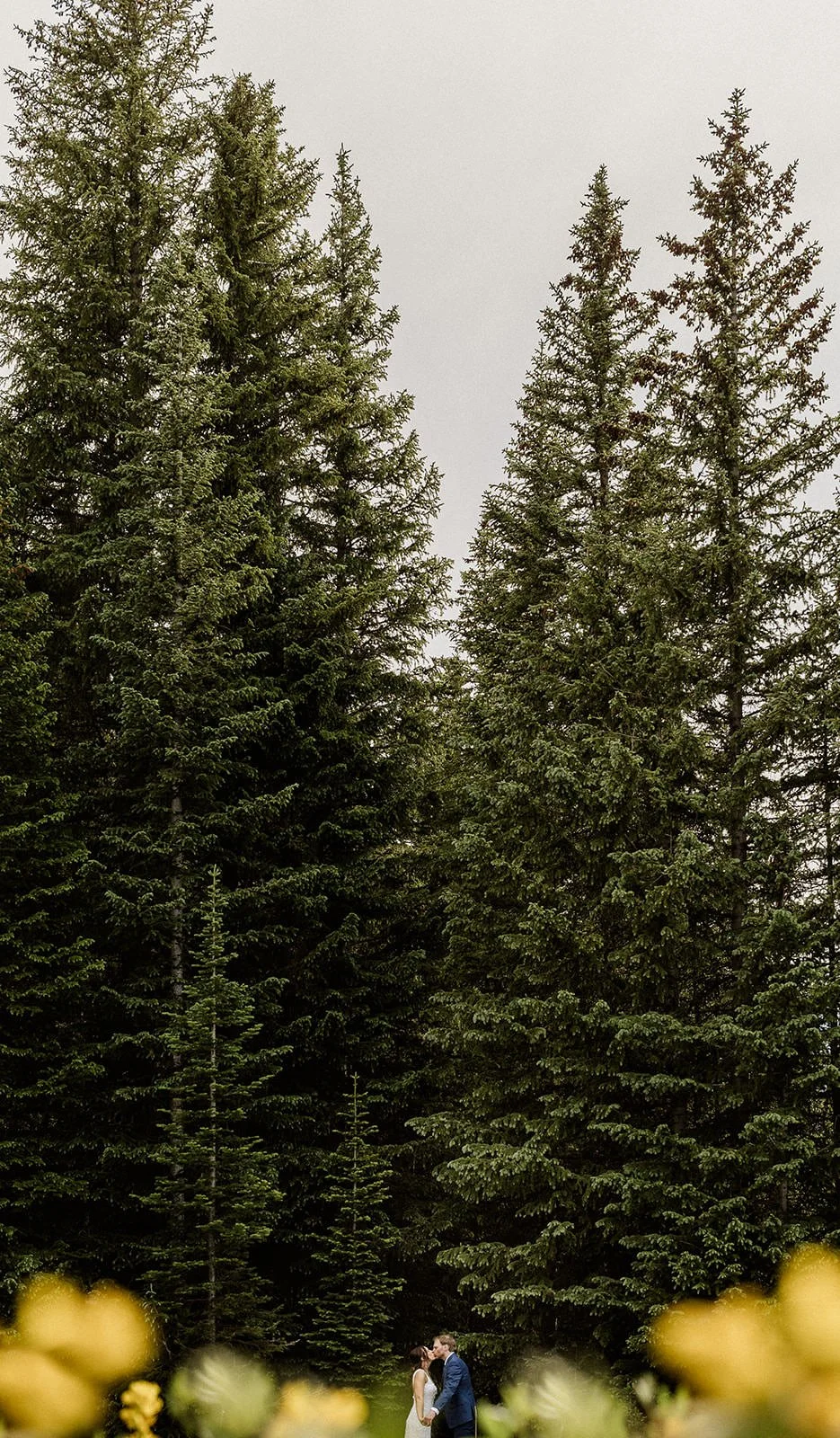 Rainy summer elopement picnic in Colorado