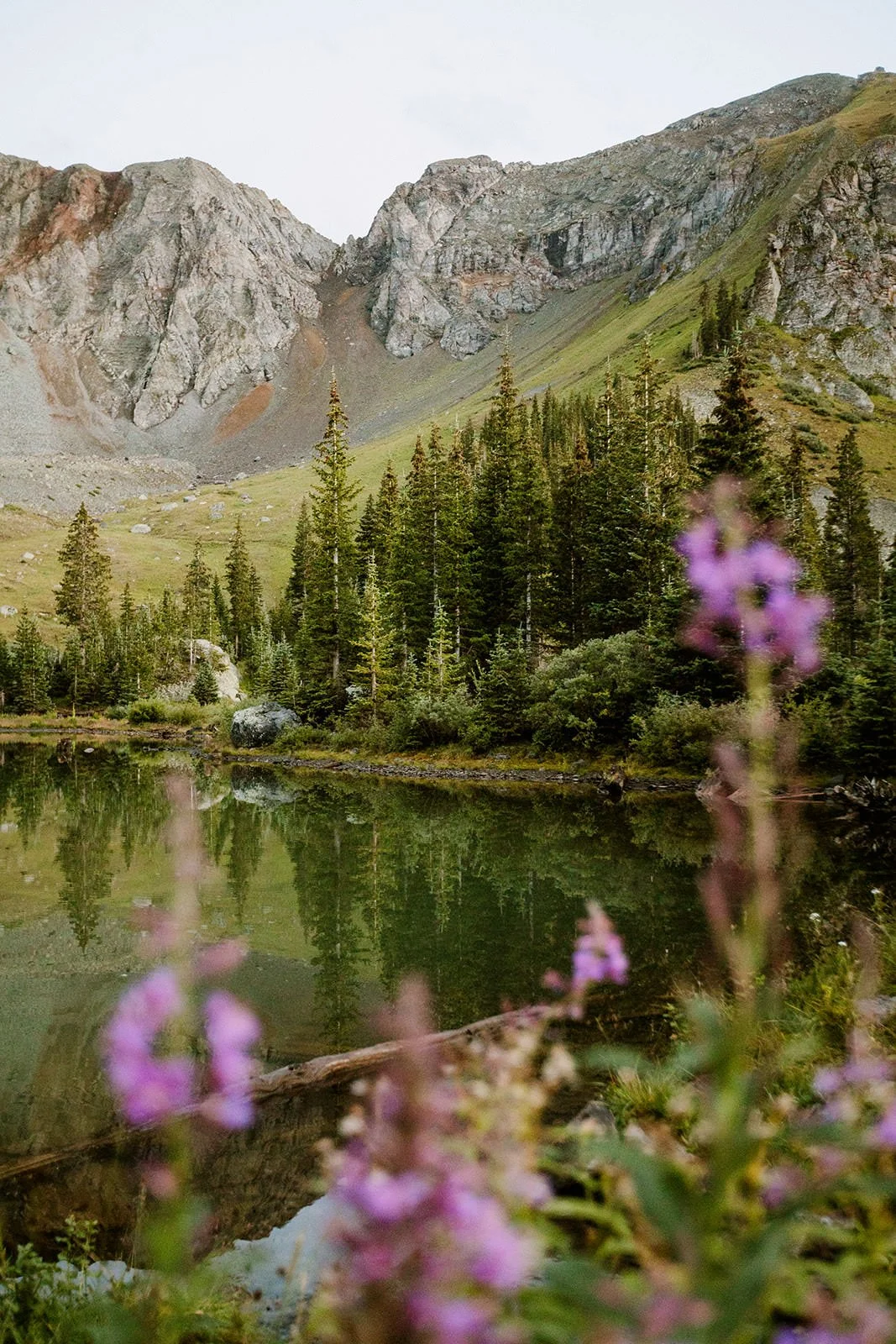 elopement photographer San Juan Mountains Telluride Colorado summer
