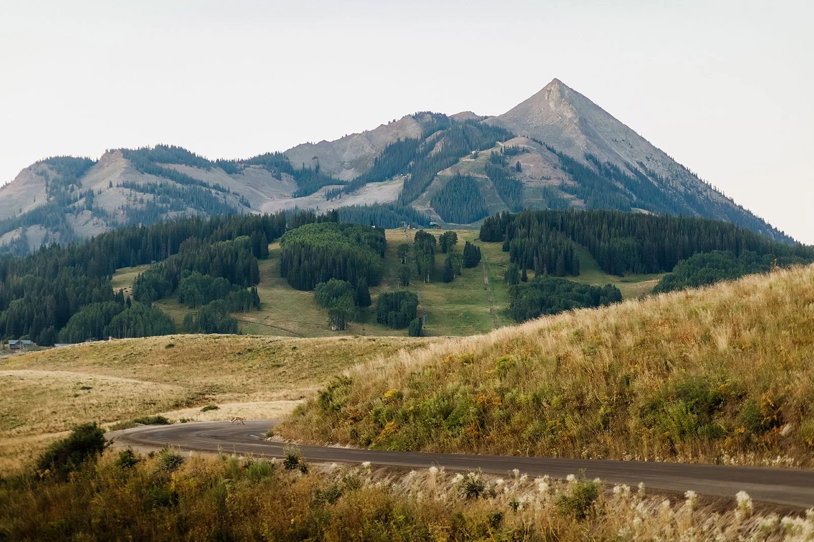 Intimate-Wedding-With-Family-In-Crested-Butte-00041.jpg