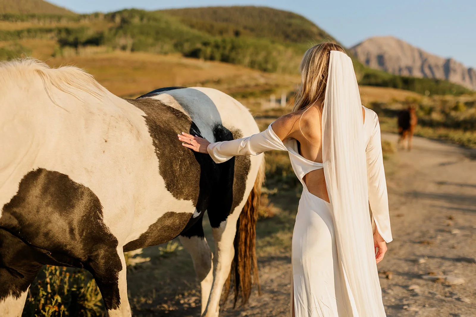 Intimate-Wedding-With-Family-In-Crested-Butte-00052.jpg