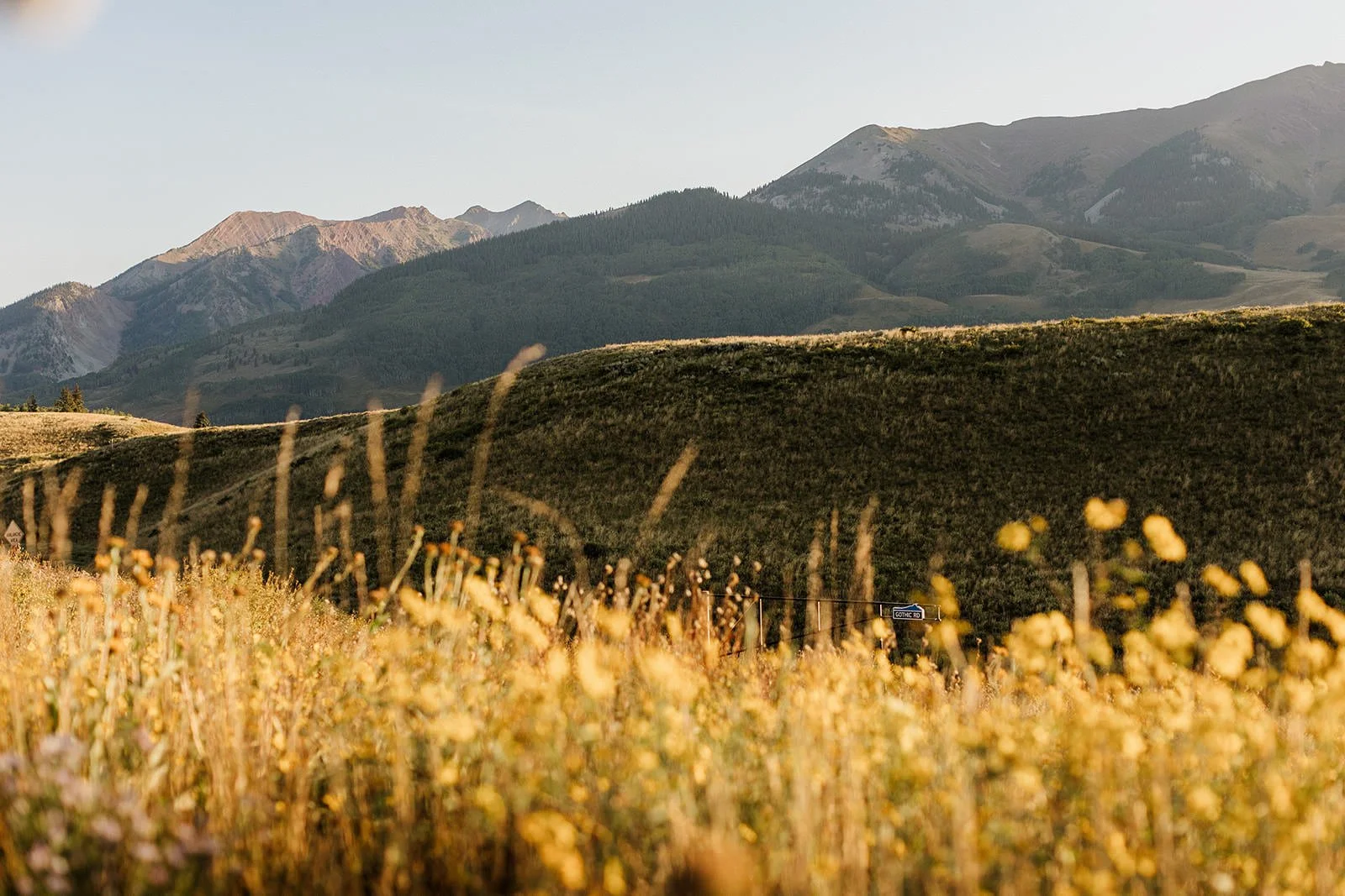 Intimate-Wedding-With-Family-In-Crested-Butte-00053.jpg