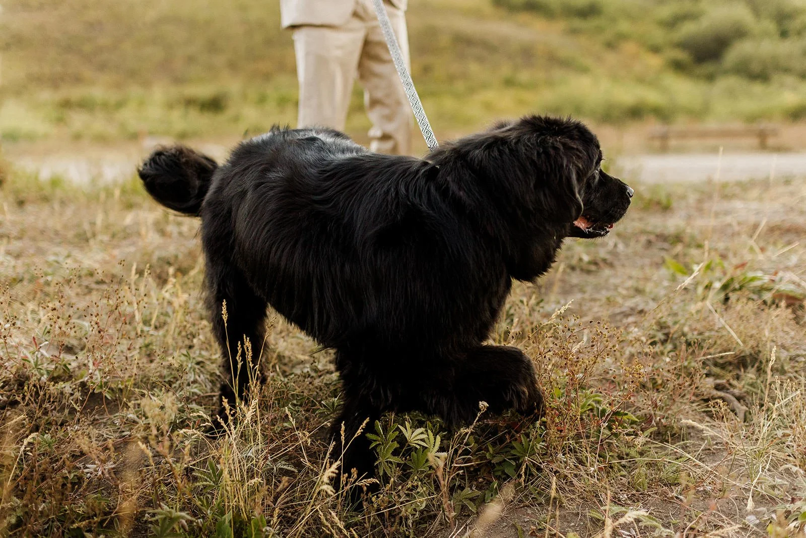 Intimate-Wedding-With-Family-In-Crested-Butte-00056.jpg