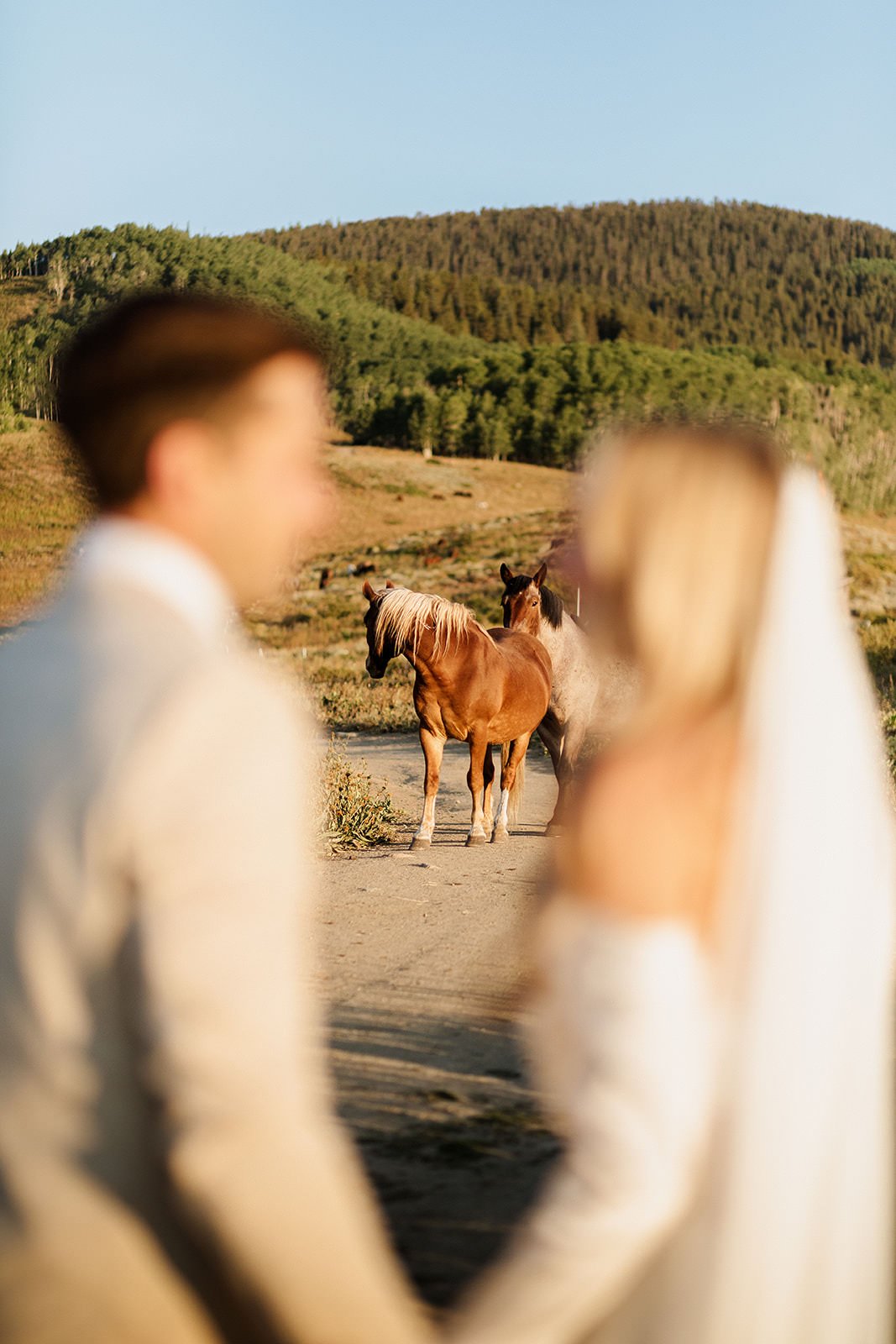 Intimate-Wedding-With-Family-In-Crested-Butte-00073.jpg