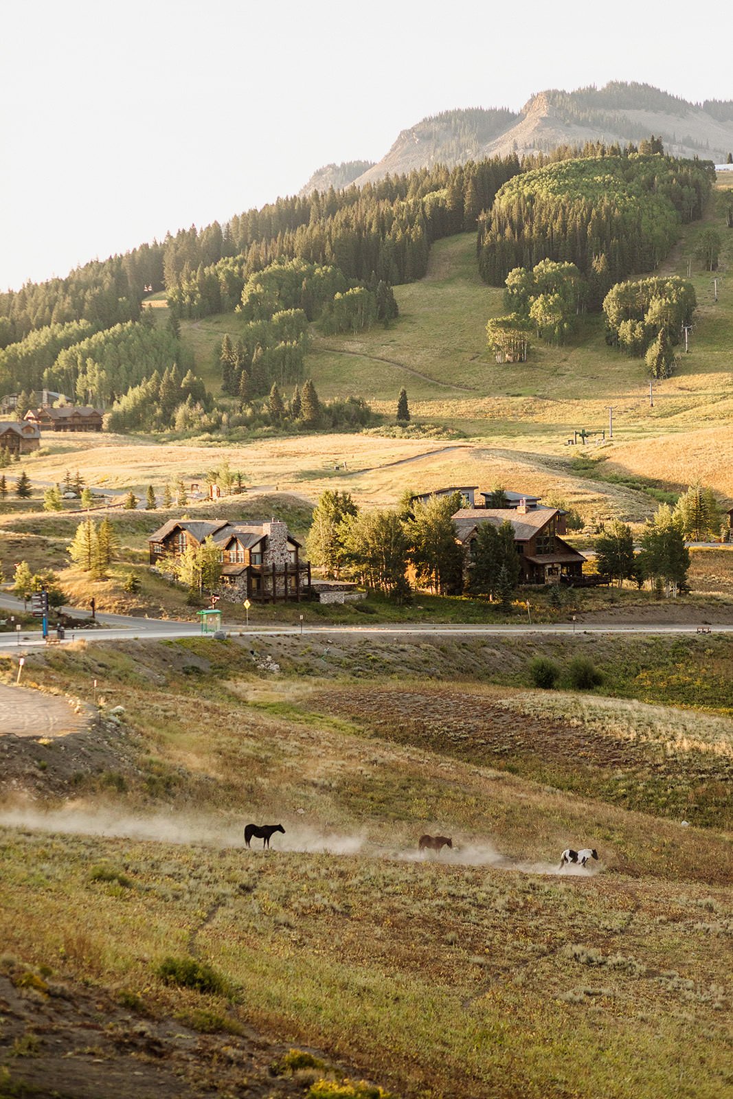 Intimate-Wedding-With-Family-In-Crested-Butte-00075.jpg