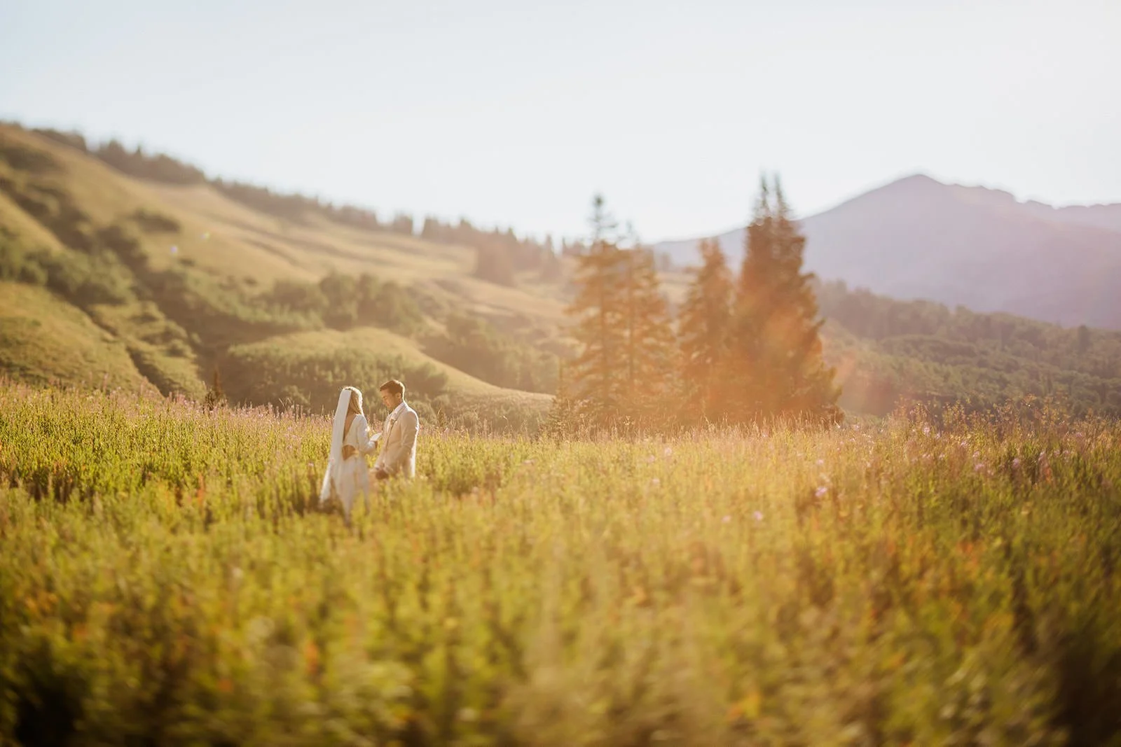 Intimate-Wedding-With-Family-In-Crested-Butte-00081.jpg