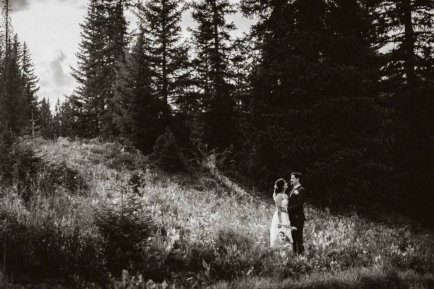 lake-irwin-elopement-crested-butte-29-forest-bw.jpg