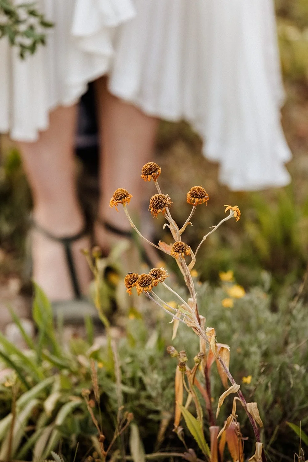 lake-irwin-elopement-crested-butte-93-shoes-wildflowers-detail.jpg