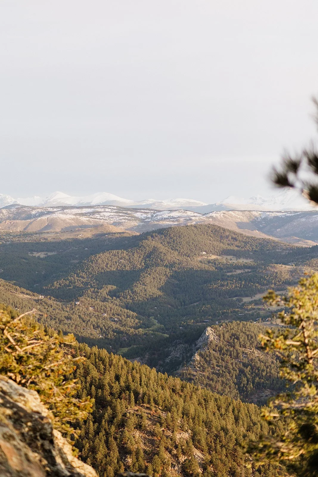 View from Lost Gulch Overlook of forested foothills and snow capped peaks in the distance