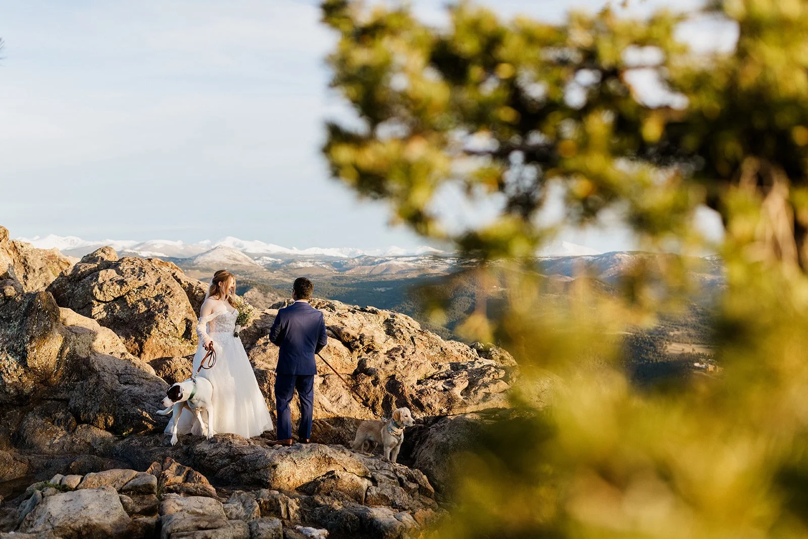 Couple and their dogs on the rocks at Lost Gulch Overlook, framed by pine branches