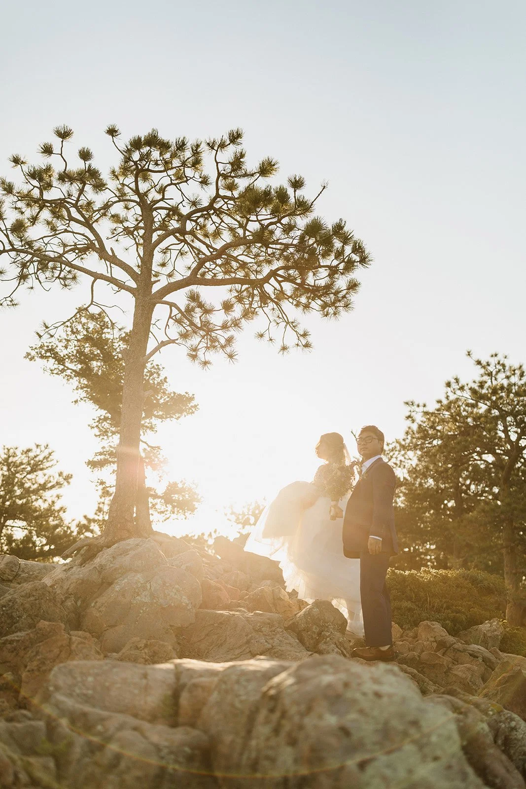 Couple silhouetted beside a pine tree with the sun rising behind them