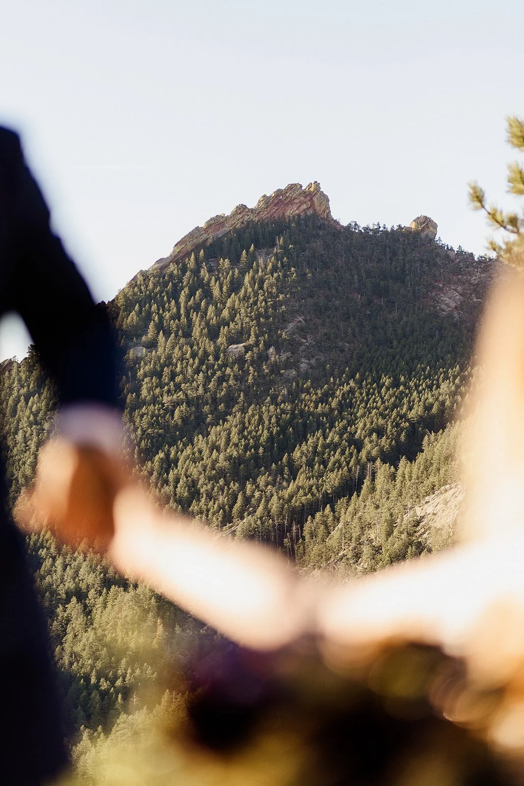The couple's joined hands with a forested peak behind them