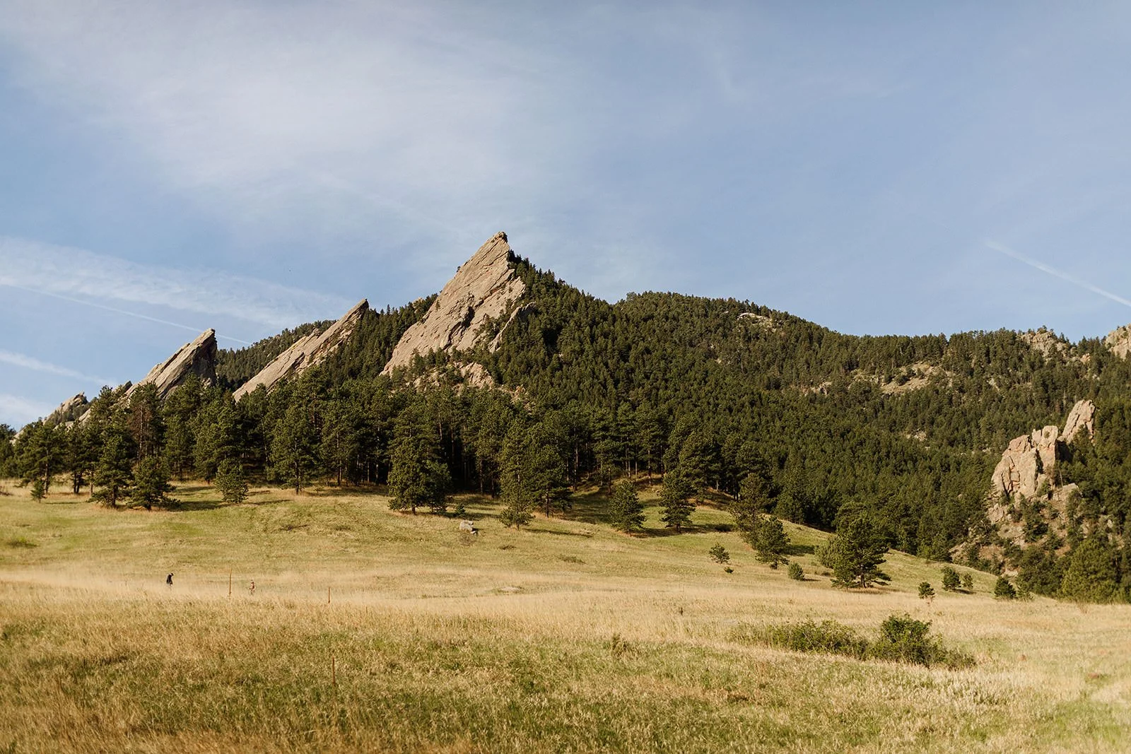 The Flatirons above the meadow at Chautauqua Park in Boulder, Colorado
