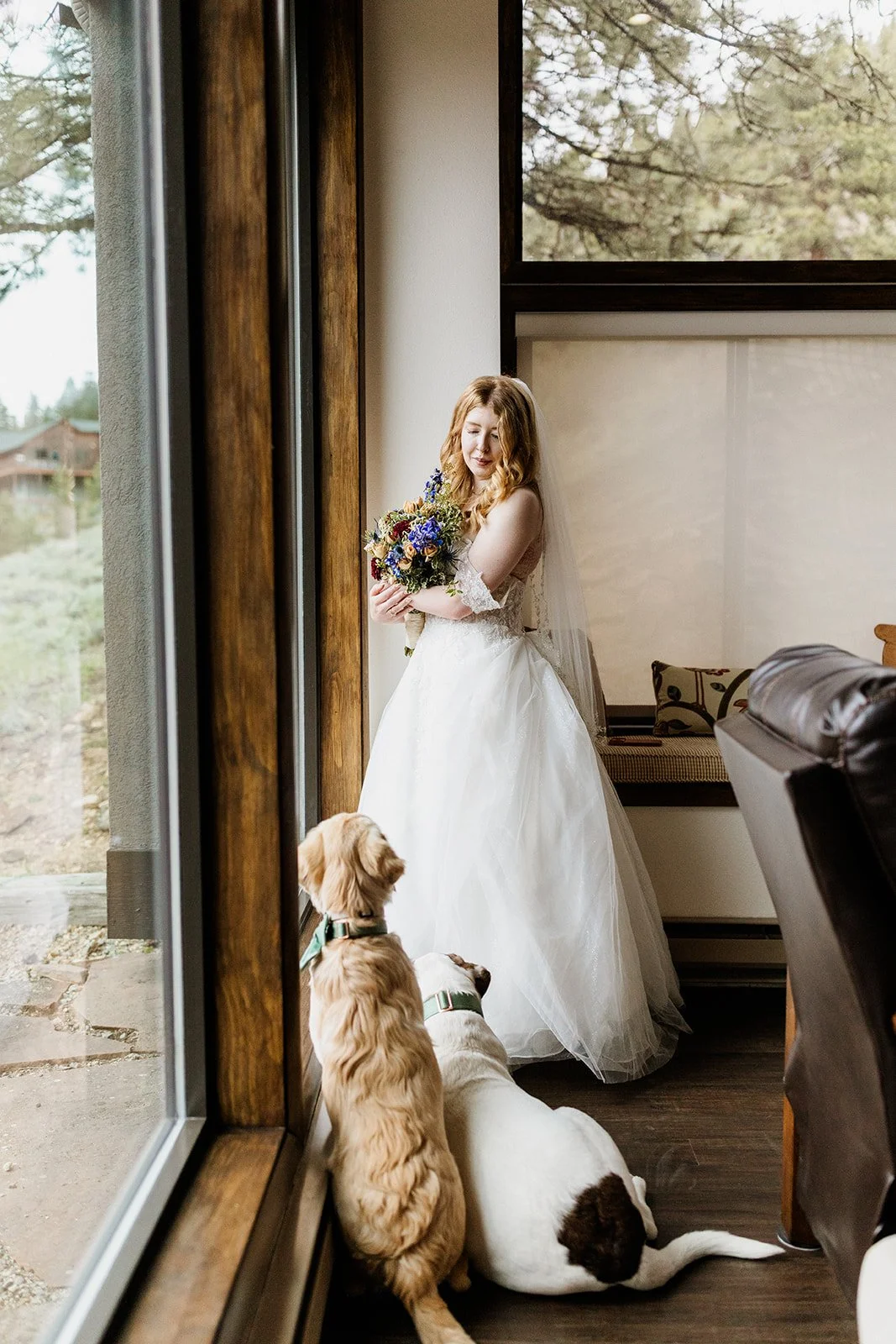 Bride holding her bouquet by the window with both dogs at her feet