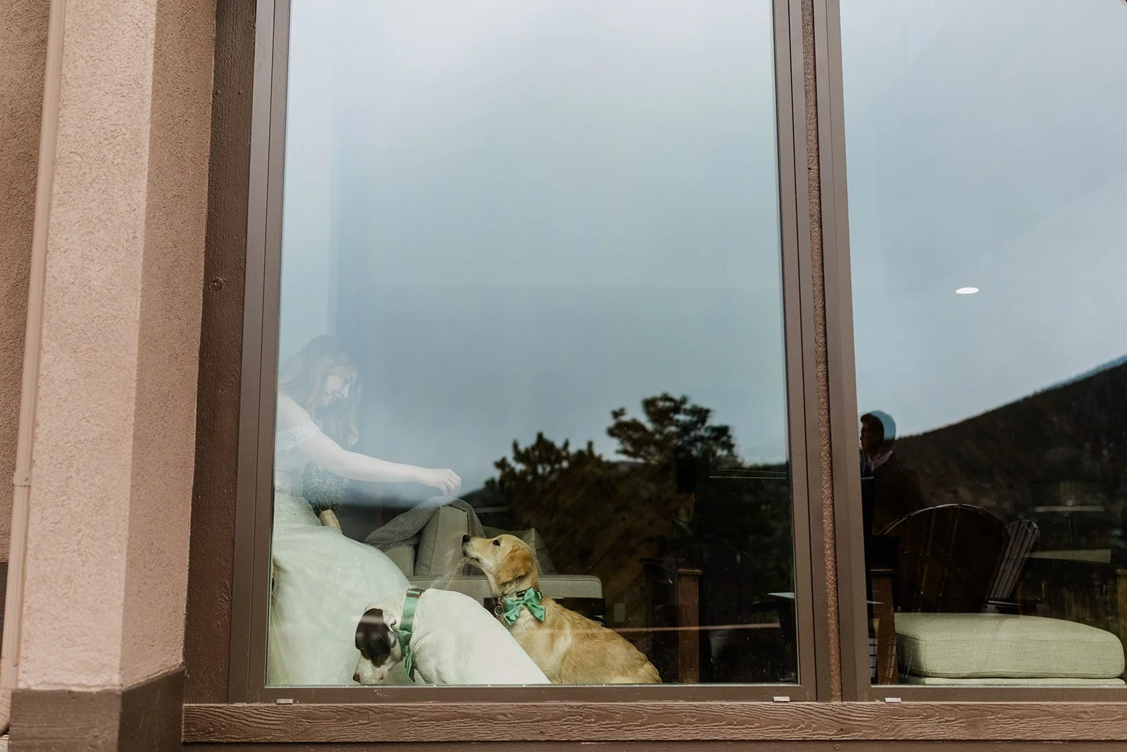 Bride and her dogs seen through the cabin window from outside
