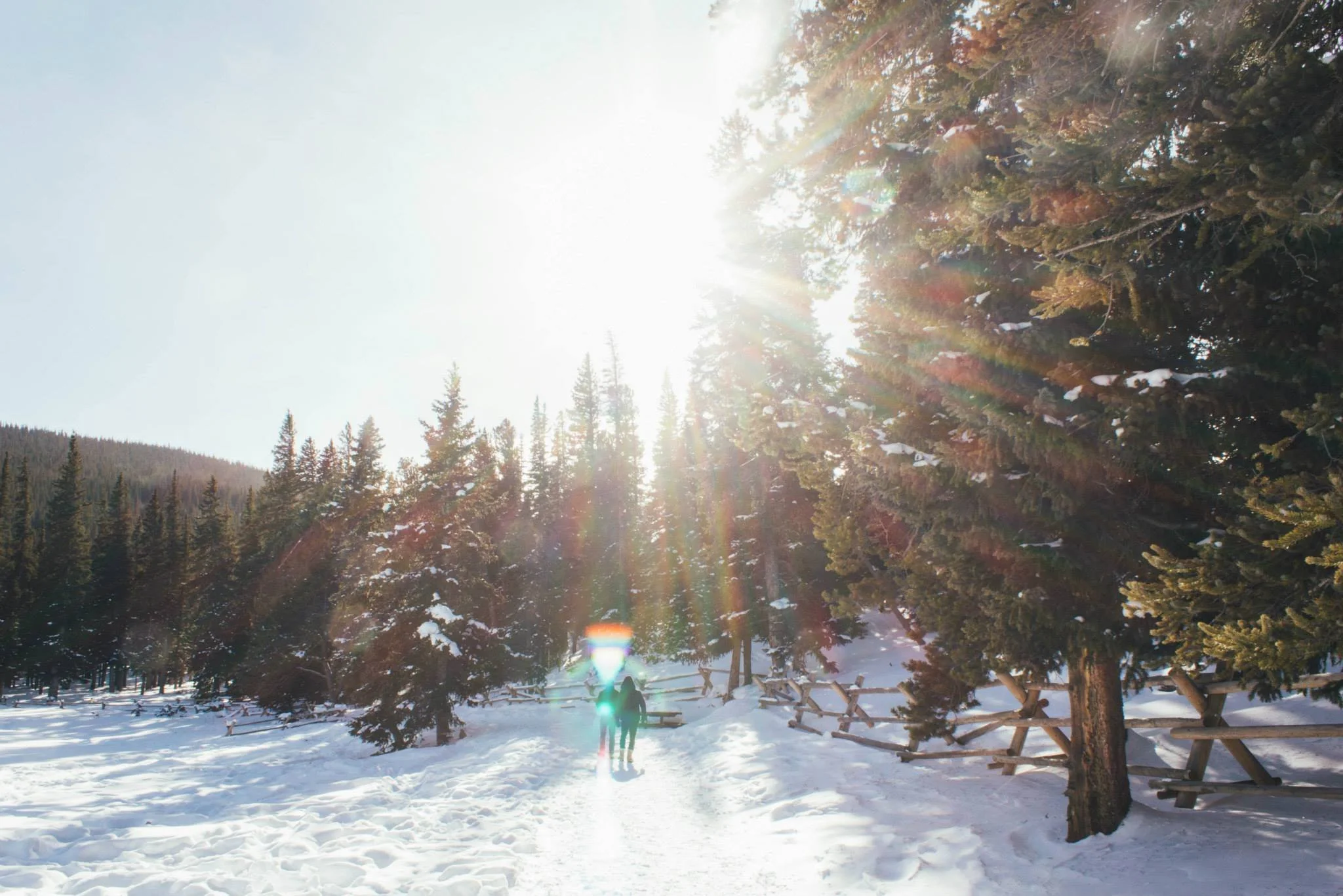 Sun shining through snow covered pine trees on the trail at Echo Lake