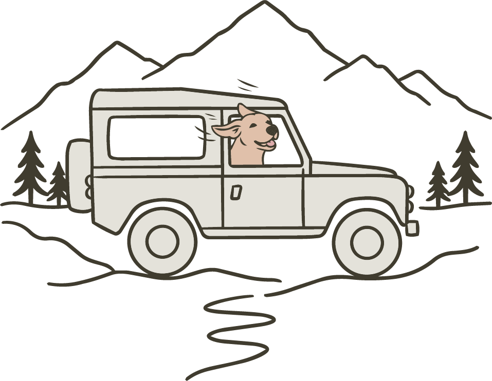 Cartoon of a dog driving an off-road vehicle through a mountainous forest landscape at night.