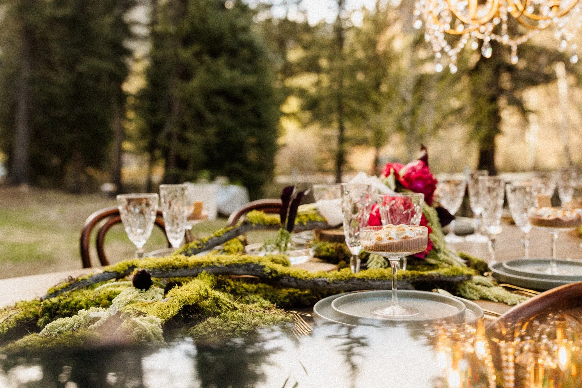 Campfire themed forest wedding elopement with moss and chandelier at Lost Fork in Grant, Colorado